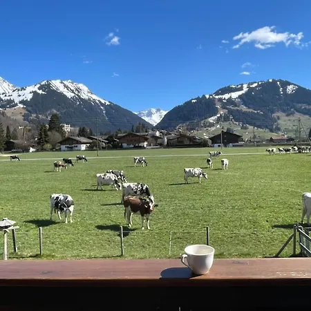 Alpine Haven 3-bedroom Chalet In Gstaad